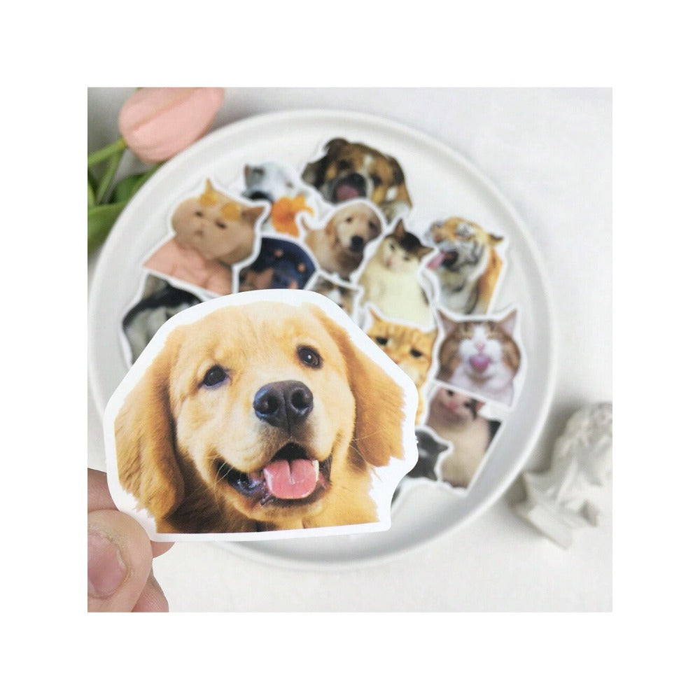 50PCS Adorable Cat & Dog Funny Emoticon Doodle Stickers Exquisite, Fashionable, Creative DIY Journal Decorations Suitable for Notebooks, Skateboards, Bags, Stationery Cases