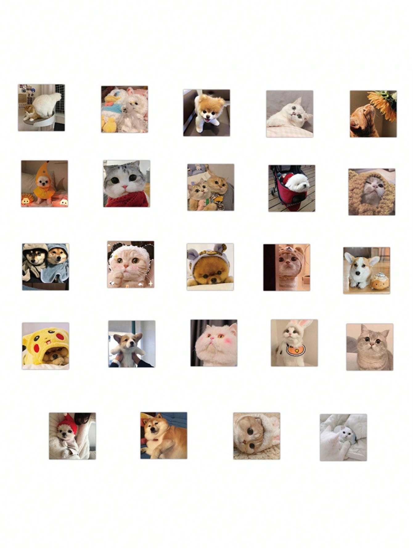 50PCS Art Illustration Popular Creative Cartoon Cute Cats and Dogs Animals Decorative Style Graffiti Stickers Personality Fashion Creative Trend DIY Exquisite Decorative Decals for Cups, Helmets, Skateboards Popular Stickers Toys