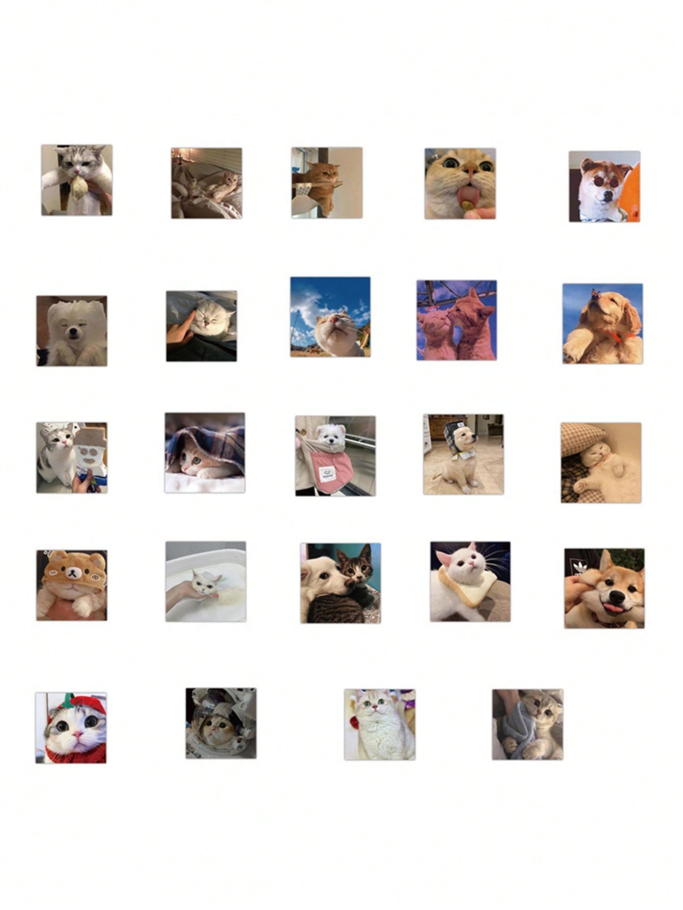50PCS Art Illustration Popular Creative Cartoon Cute Cats and Dogs Animals Decorative Style Graffiti Stickers Personality Fashion Creative Trend DIY Exquisite Decorative Decals for Cups, Helmets, Skateboards Popular Stickers Toys