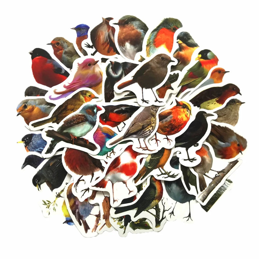 50PCS Cute Cartoon Bird Doodle Animal Stickers for Luggage, Helmets, Guitars, DIY Scrapbooks, Wall Decals, Toy Decorations