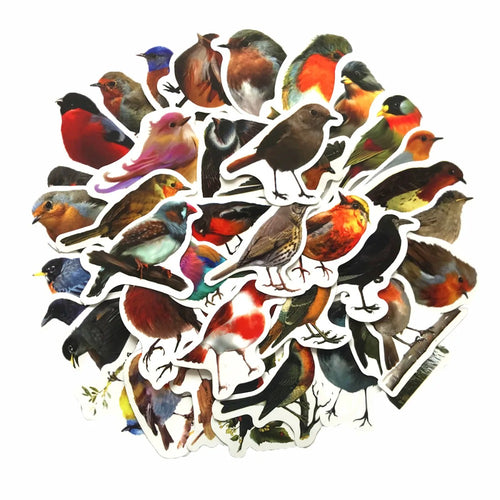 50PCS Cute Cartoon Bird Doodle Animal Stickers for Luggage, Helmets, Guitars, DIY Scrapbooks, Wall Decals, Toy Decorations