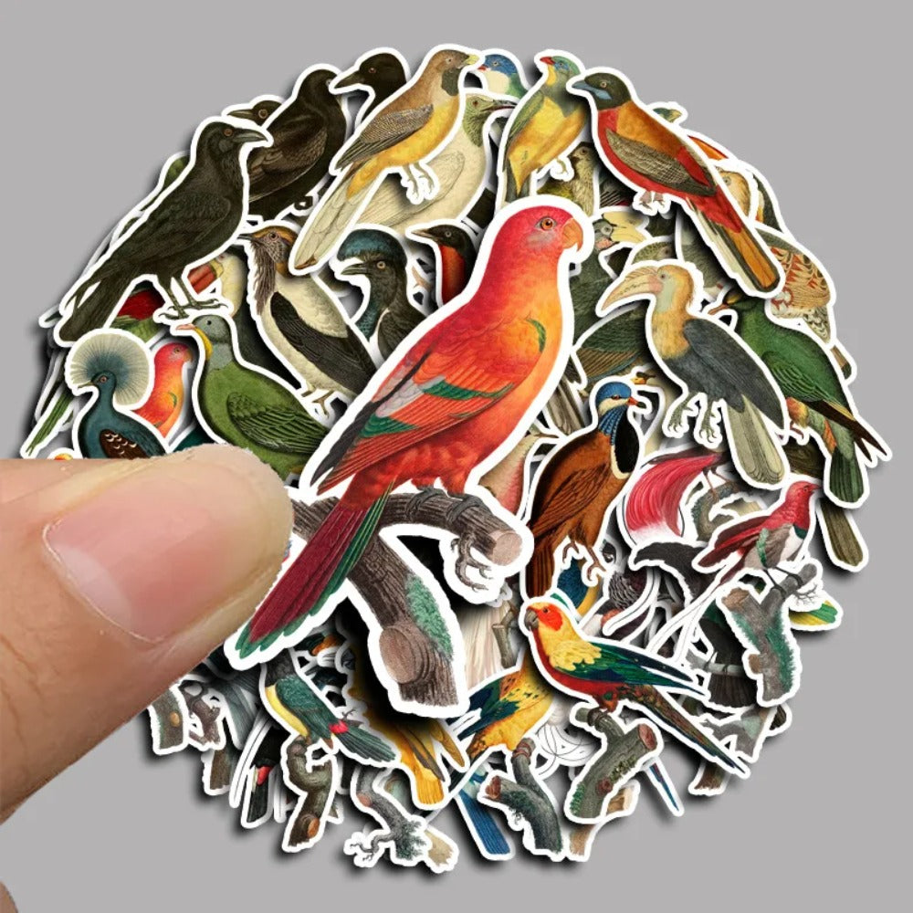 50PCS Cute Cartoon Bird Doodle Animal Stickers for Luggage, Helmets, Guitars, DIY Scrapbooks, Wall Decals, Toy Decorations