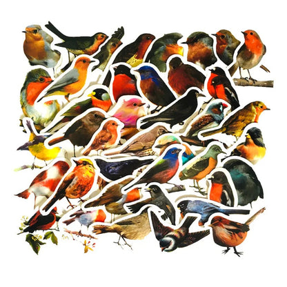 50PCS Cute Cartoon Bird Doodle Animal Stickers for Luggage, Helmets, Guitars, DIY Scrapbooks, Wall Decals, Toy Decorations