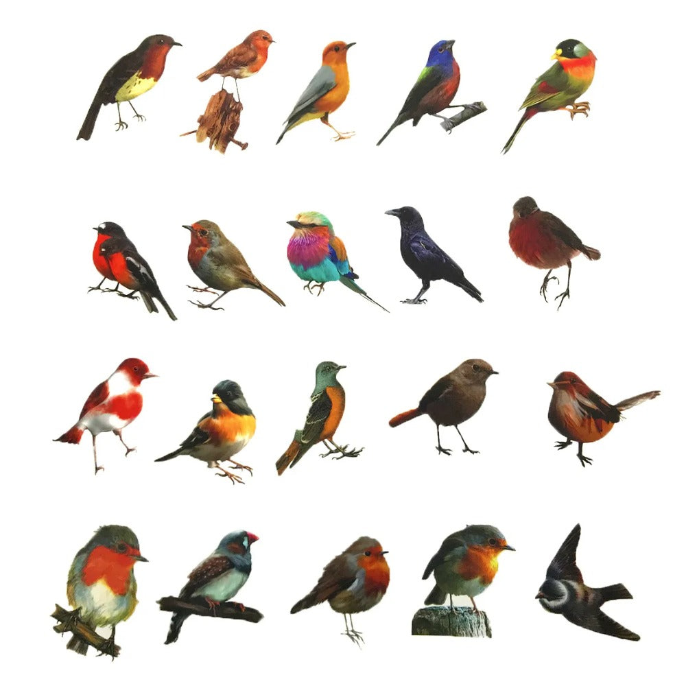 50PCS Cute Cartoon Bird Doodle Animal Stickers for Luggage, Helmets, Guitars, DIY Scrapbooks, Wall Decals, Toy Decorations