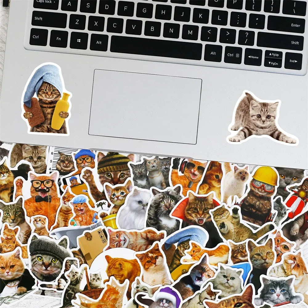 50PCS Realistic Cute Cat Sticker Funny Animal Suitcase Guitar Computer Waterproof Skateboard  Refrigerator  Cup