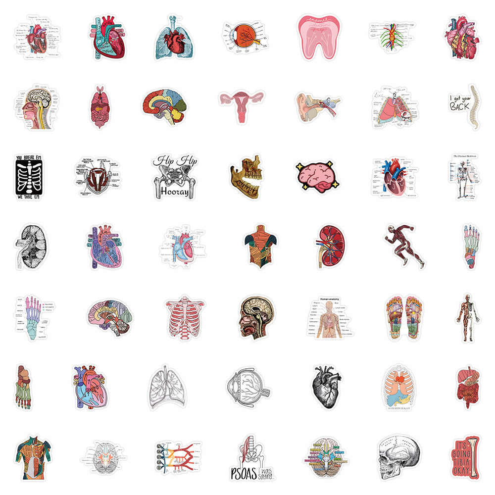 50PCS Anatomical Art Doodle Stickers, Deconstructed Organ & Biology Cartoon Decals for Science Notes and Study Vibes