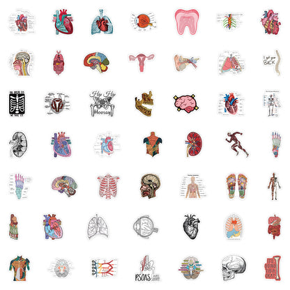 50PCS Anatomical Art Doodle Stickers, Deconstructed Organ & Biology Cartoon Decals for Science Notes and Study Vibes