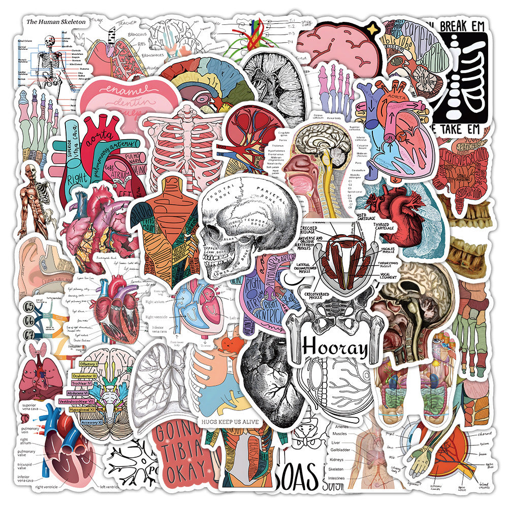 50PCS Anatomical Art Doodle Stickers, Deconstructed Organ & Biology Cartoon Decals for Science Notes and Study Vibes