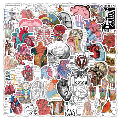 50PCS Anatomical Art Doodle Stickers, Deconstructed Organ & Biology Cartoon Decals for Science Notes and Study Vibes