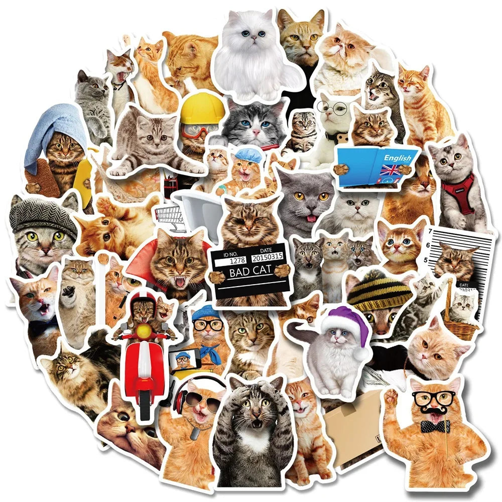 50PCS Realistic Cute Cat Sticker Funny Animal Suitcase Guitar Computer Waterproof Skateboard  Refrigerator  Cup