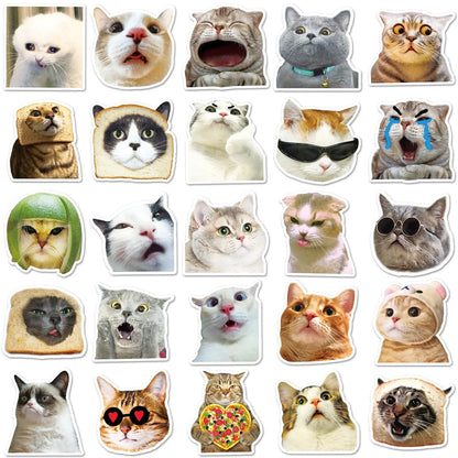 50PCS New Popular Cartoon Cat Sticker Pack Skateboard Guitar Decoration DIY Suitcase Water Cup  Notebook  Decal