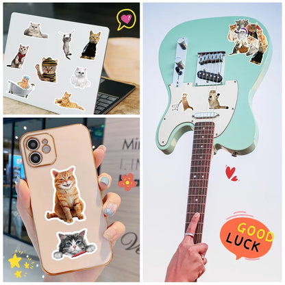 50PCS Realistic Cute Cat Sticker Funny Animal Suitcase Guitar Computer Waterproof Skateboard  Refrigerator  Cup