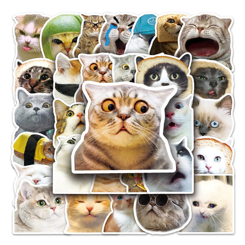 50PCS New Popular Cartoon Cat Sticker Pack Skateboard Guitar Decoration DIY Suitcase Water Cup  Notebook  Decal
