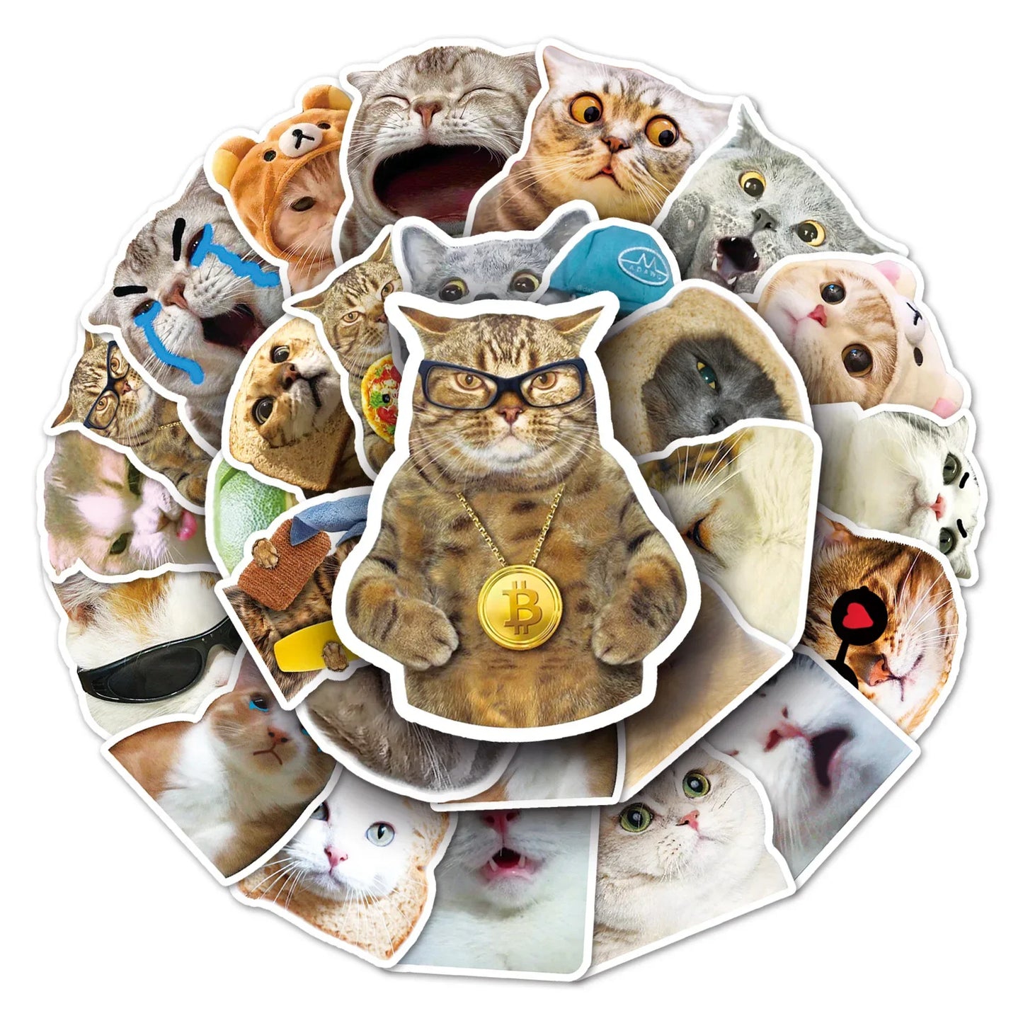 50PCS New Popular Cartoon Cat Sticker Pack Skateboard Guitar Decoration DIY Suitcase Water Cup  Notebook  Decal
