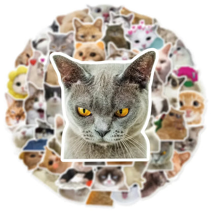 50PCS Fashionable Cute Cartoon Cat Graffiti Sticker Decoration DIY Guitar Laptop Mobile Phone Luggage  Notebook