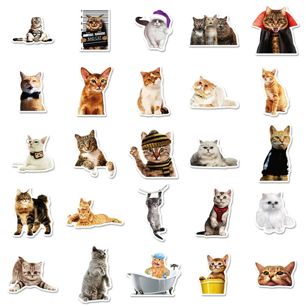 50PCS Realistic Cute Cat Sticker Funny Animal Suitcase Guitar Computer Waterproof Skateboard  Refrigerator  Cup