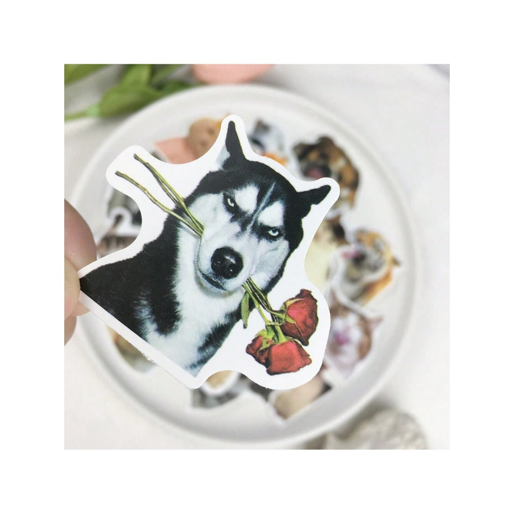 50PCS Adorable Cat & Dog Funny Emoticon Doodle Stickers Exquisite, Fashionable, Creative DIY Journal Decorations Suitable for Notebooks, Skateboards, Bags, Stationery Cases